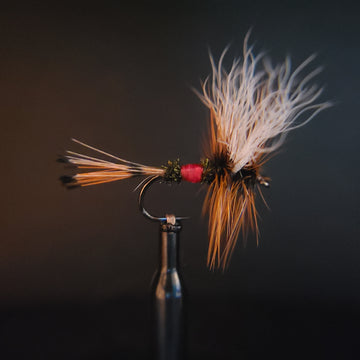 Featured Fly Tyer - Matt Germino