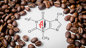 Why Low Acid Coffee Matters: Putting Four Angler's Coffee Roasts to the Test.