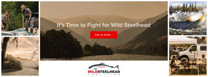 Conservation Alliance Partner - Wild Steelhead Coalition